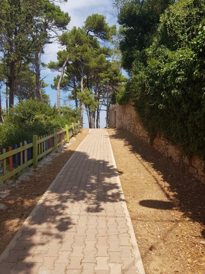 Apartment Zdenka Veli Lošinj 外观 照片